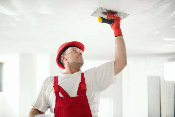 Best Ceiling Drywall Installation  in Lavon, TX