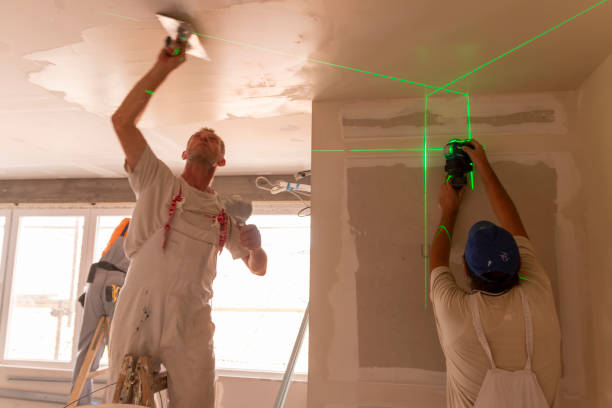 Best Drywall Installation  in Lavon, TX